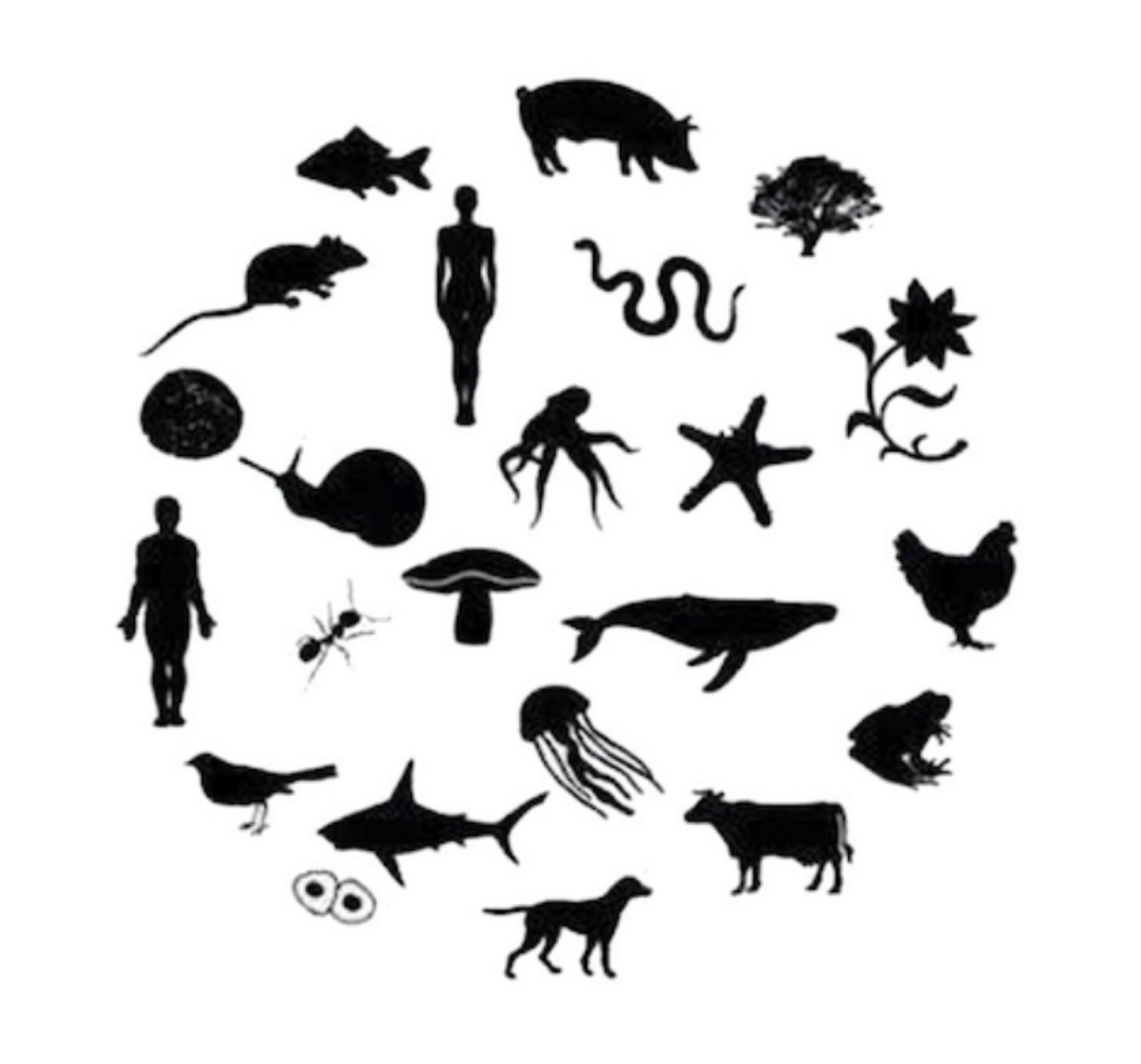 The Bestiary (Poem by Joanna Macy)