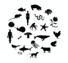 The Bestiary